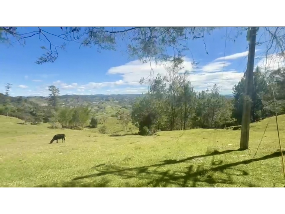 Tierra parcelable de la Autopista Medellín vista cerca autopista — foto 6
