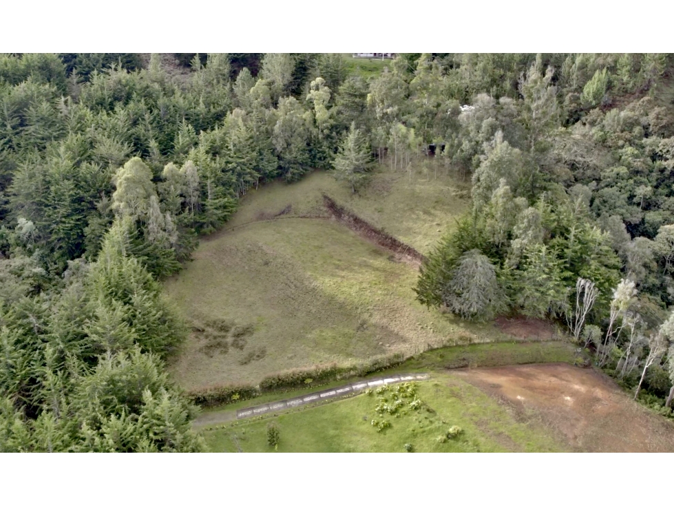 Lote vista panorámica independiente sector tranquilo alta valorización — foto 4