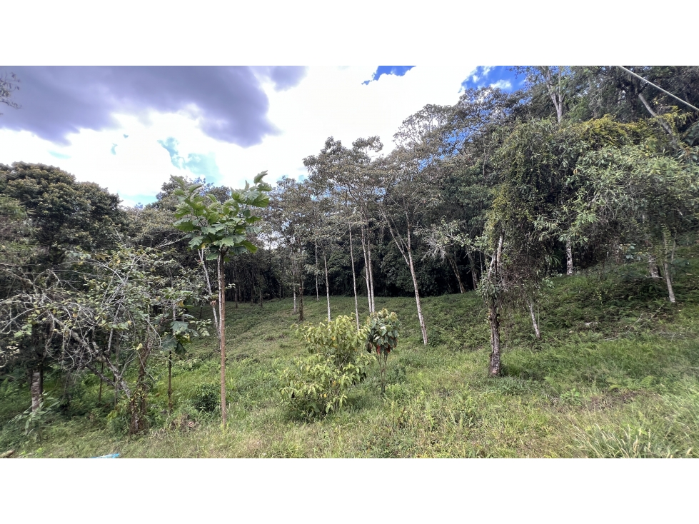Lote en el Retiro exclusiva parcelación senderos ecológicos — foto 5