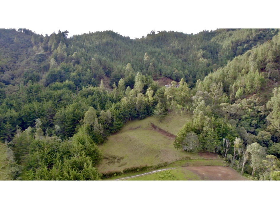 Lote vista panorámica independiente sector tranquilo alta valorización — foto 6