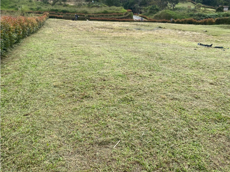 Lote campestre en venta alta valorización 7 minutos del Aeropuerto — foto 6