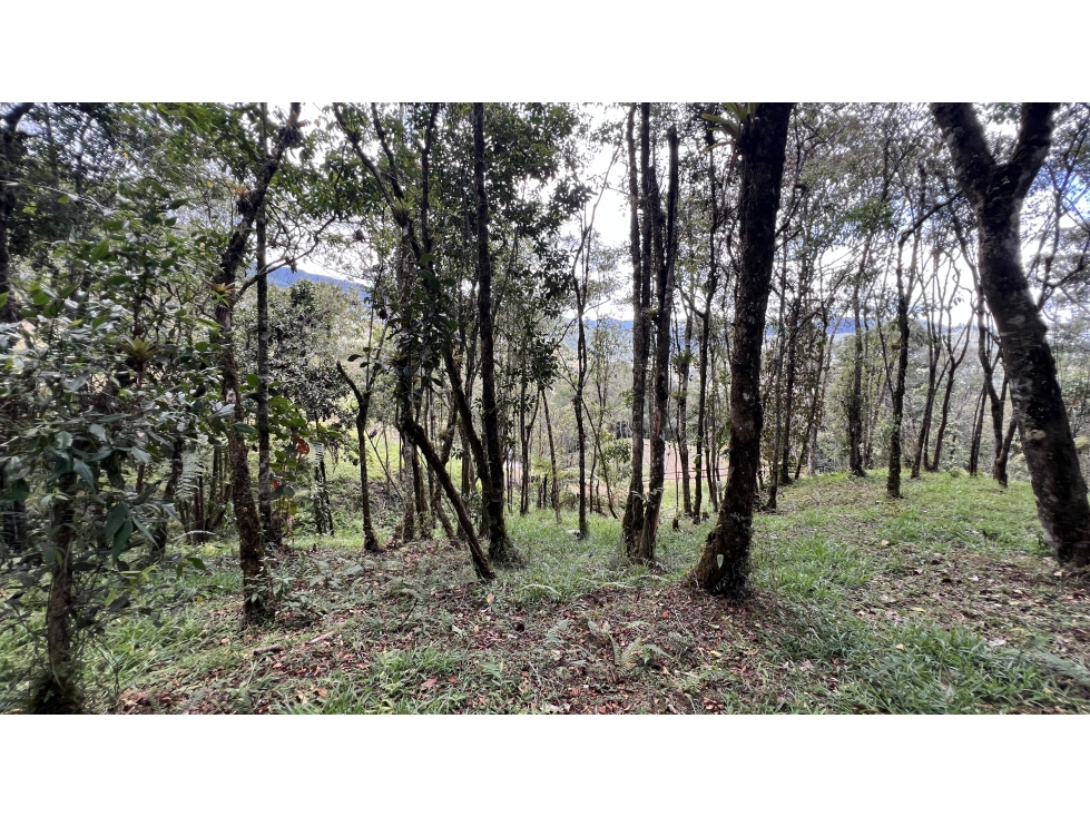 Lote en el Retiro refugio campestre avistamiento de aves