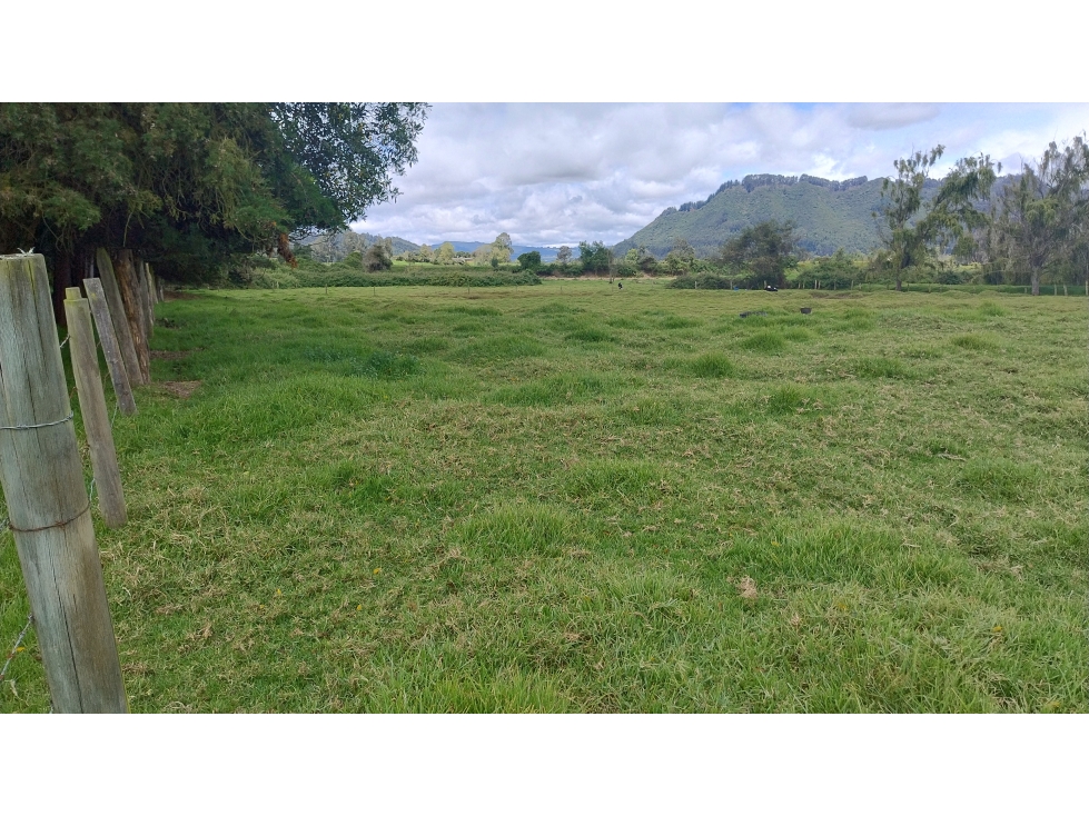 Tabio Rio Frio Occidental, Lote El Carmel, 12.000 M2 - 2