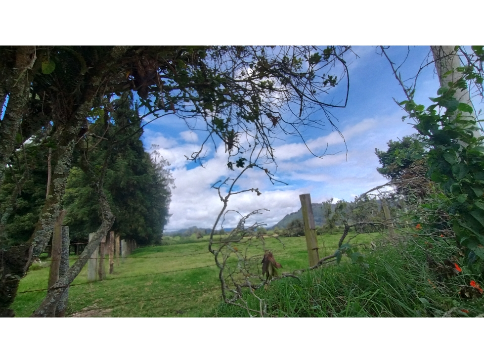 Tabio Rio Frio Occidental, Lote El Carmel, 12.000 M2 - 3