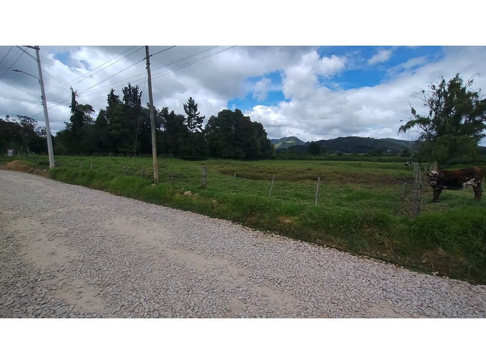 Tabio Rio Frio Occidental, Lote El Carmel, 12.000 M2 - 4