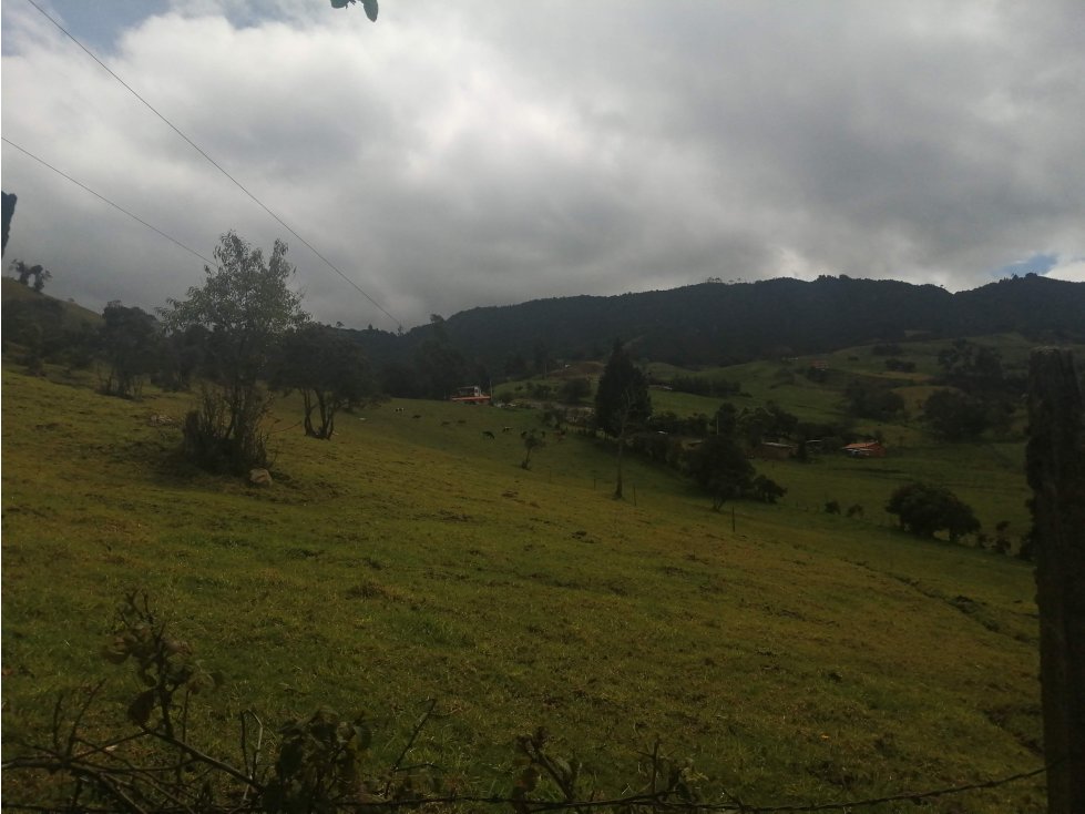 HERMOSA FINCA VEREDA SECTOR SAN ISIDRO ZIPAQUIRÁ - 2
