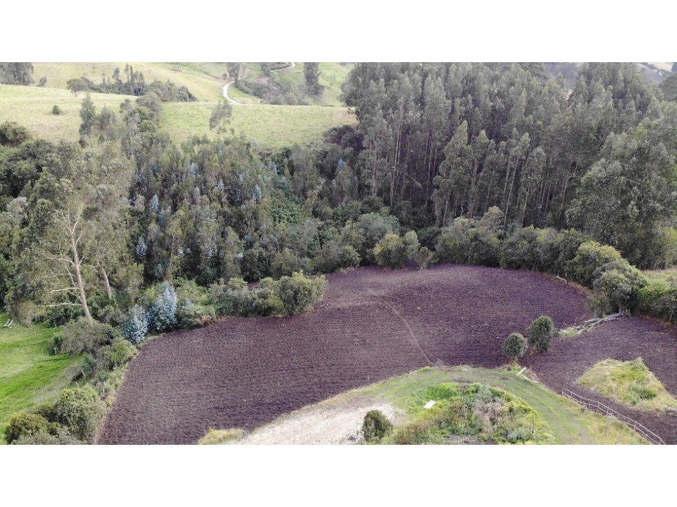 SE VENDE LOTE DE TERRENO EN EL PUYON VEREDA SAN JORGE - 1