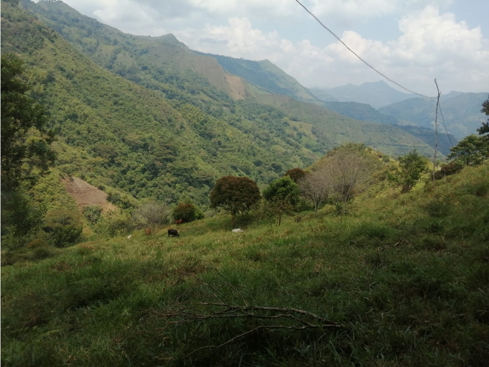 SE VENDE LOTE DE TERRENO VDA TIMANA PACHO - 2