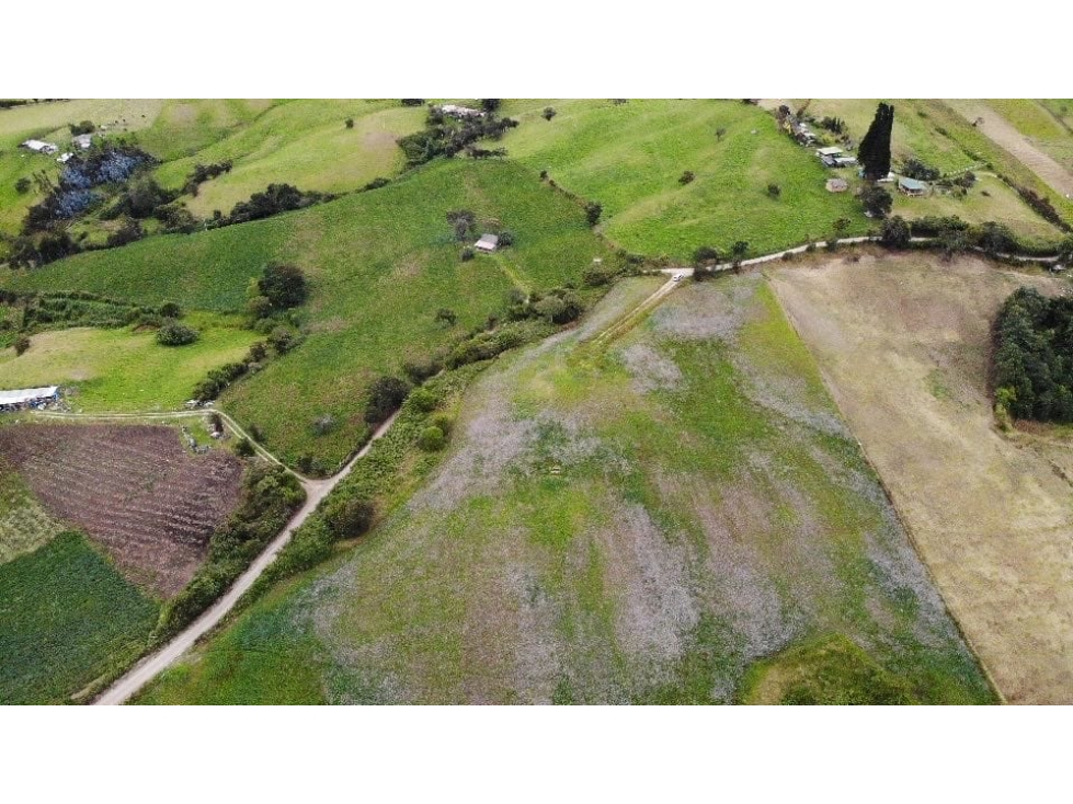 SE VENDE FINCA EN EL SECTOR DEL ALTO DEL GALLO EN SAN JORGE - 2