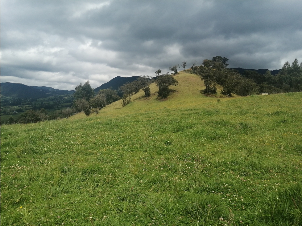 HERMOSA FINCA VEREDA SECTOR SAN ISIDRO ZIPAQUIRÁ - 1