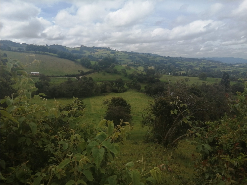 HERMOSA FINCA VEREDA SECTOR SAN ISIDRO ZIPAQUIRÁ - 3