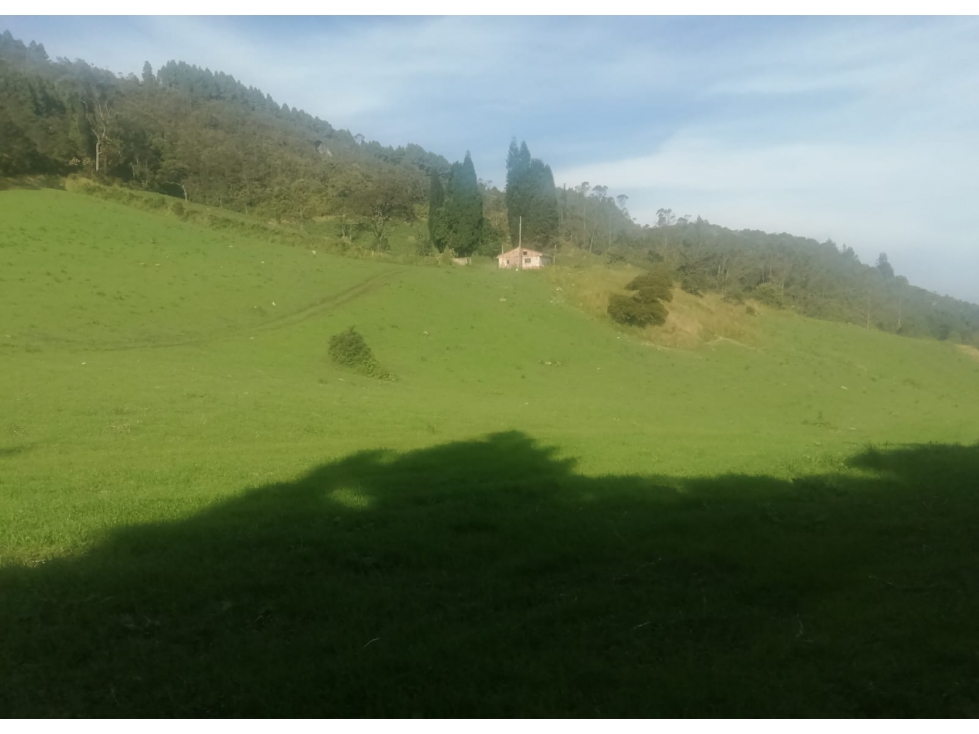 HERMOSO TERRENO CON CASA CAMPESINA - 2
