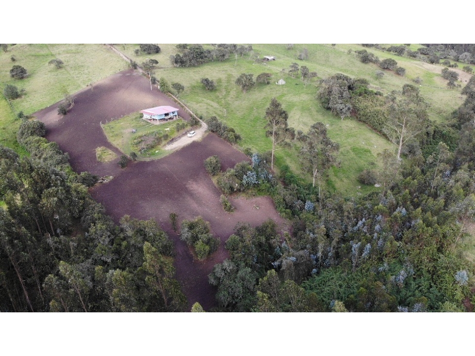 SE VENDE LOTE DE TERRENO EN EL PUYON VEREDA SAN JORGE - 2