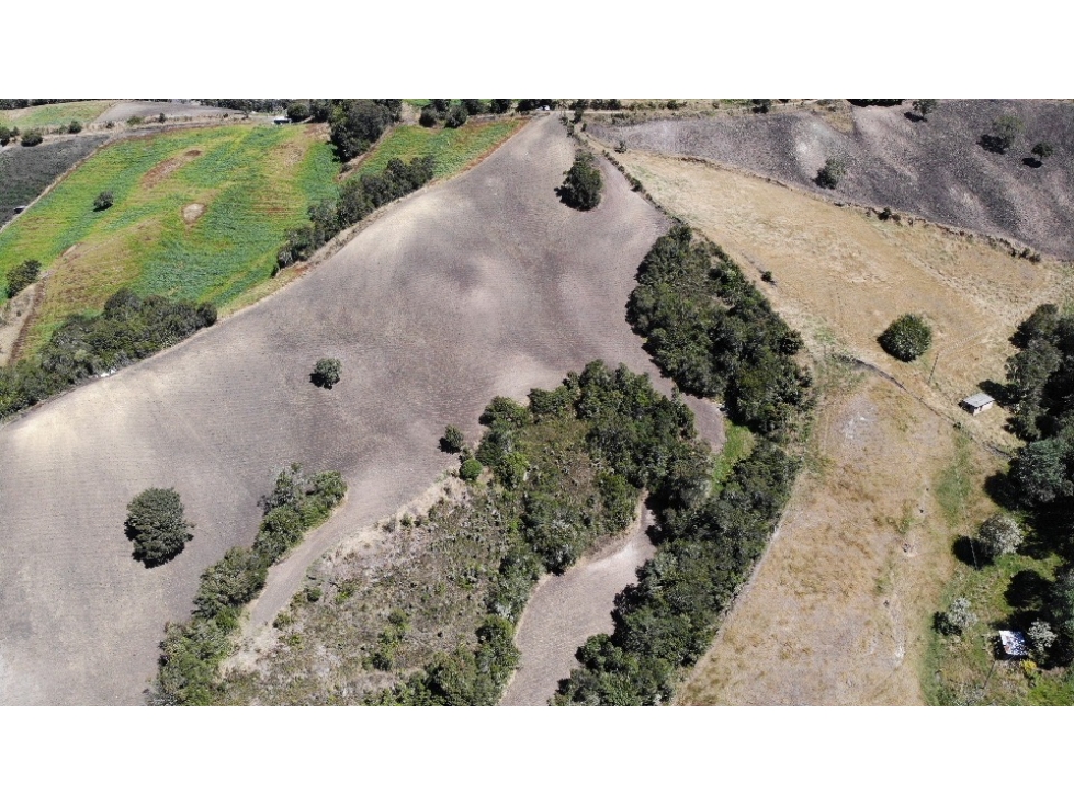 SE VENDE FINCA DE PRODUCCIÓN EN PARAMO ALTO COGUA - 2