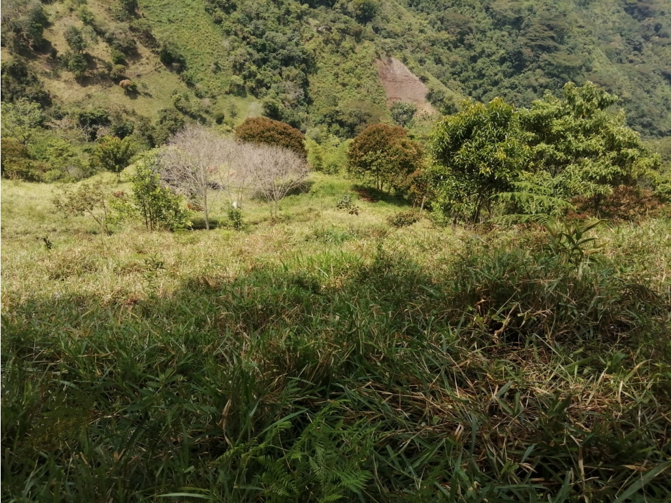 SE VENDE LOTE DE TERRENO VDA TIMANA PACHO - 3