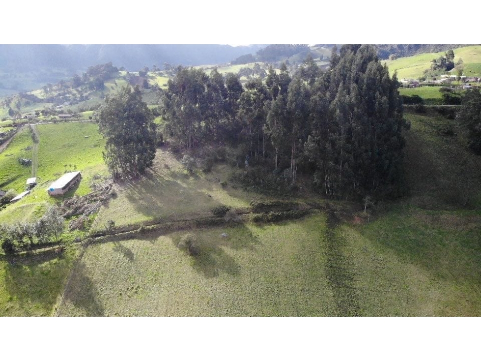 SE VENDE FINCA CON VISTA SOBRE PLACA HUELLA EN SAN ISIDRO - 2