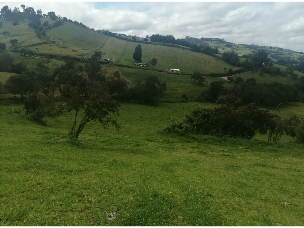 HERMOSA FINCA VEREDA SECTOR SAN ISIDRO ZIPAQUIRÁ - 4