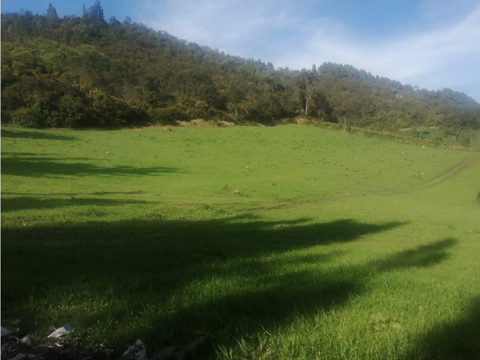HERMOSO TERRENO CON CASA CAMPESINA - 1