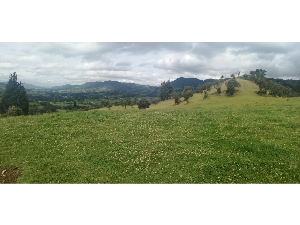 HERMOSA FINCA VEREDA SECTOR SAN ISIDRO ZIPAQUIRÁ - 5