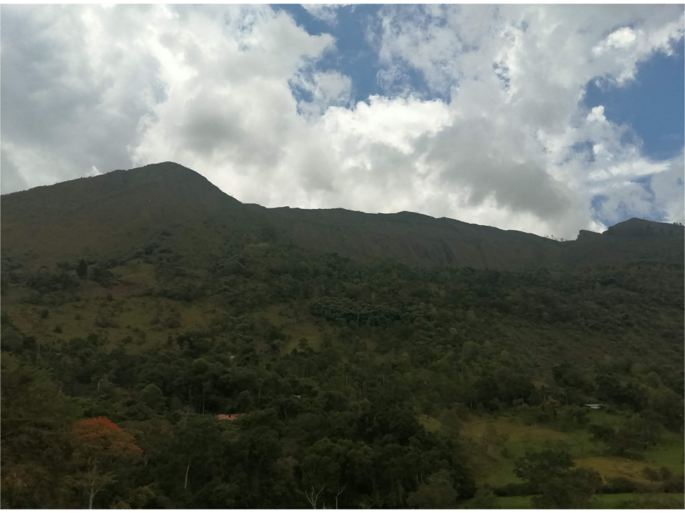 FINCA PARA PARCELAR CON VISTA ESPECTACULAR - 4