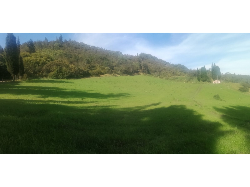 HERMOSO TERRENO CON CASA CAMPESINA - 4