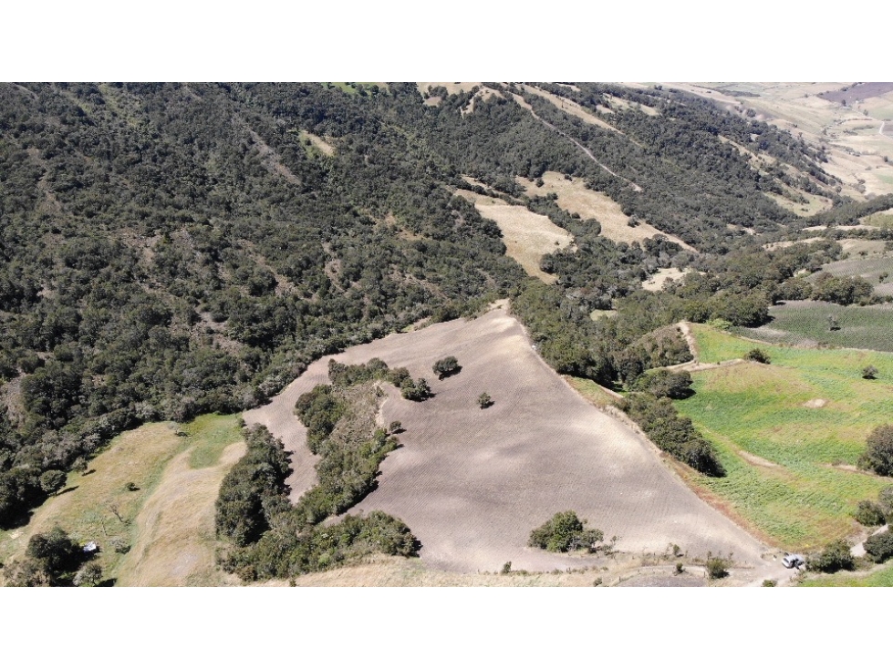 SE VENDE FINCA DE PRODUCCIÓN EN PARAMO ALTO COGUA - 4