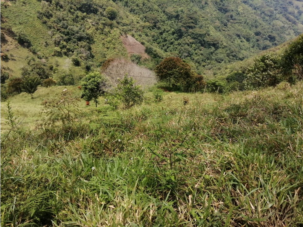 SE VENDE LOTE DE TERRENO VDA TIMANA PACHO - 4