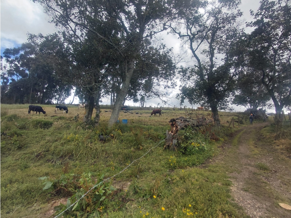 FINCA RURAL EN VENTA SECTOR EL CLAVEL VEREDA SAN ISIDRO ZIPAQUIRÁ - 5