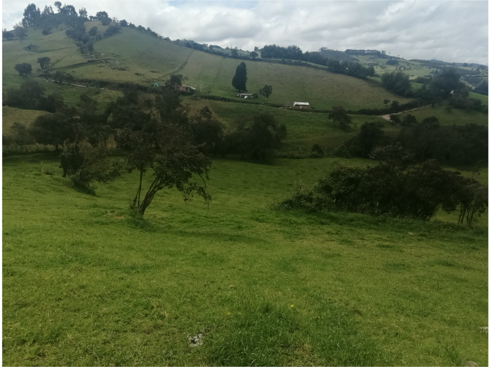 HERMOSA FINCA VEREDA SECTOR SAN ISIDRO ZIPAQUIRÁ - 6