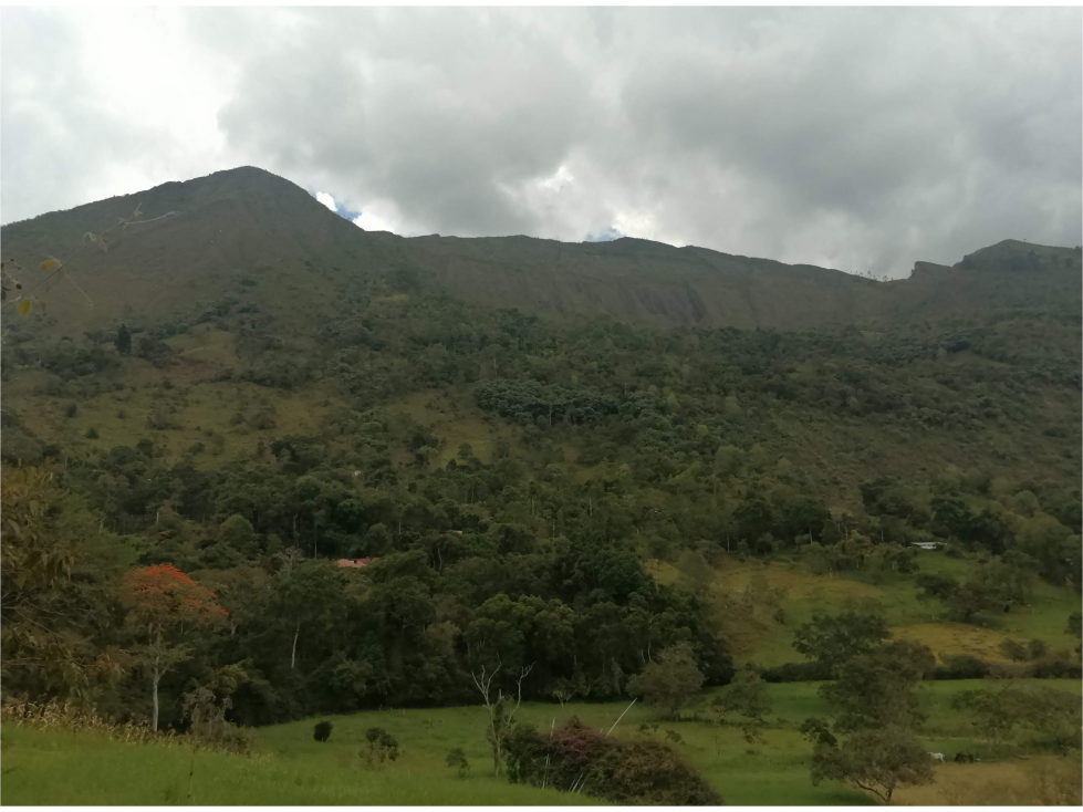 FINCA PARA PARCELAR CON VISTA ESPECTACULAR - 5