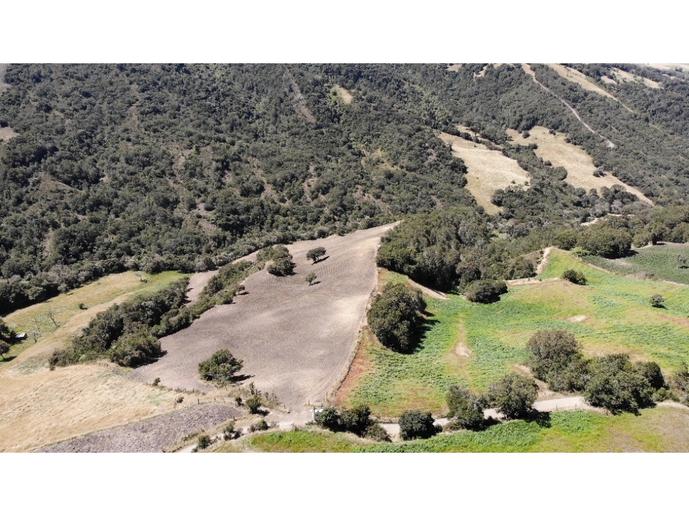 SE VENDE FINCA DE PRODUCCIÓN EN PARAMO ALTO COGUA - 5