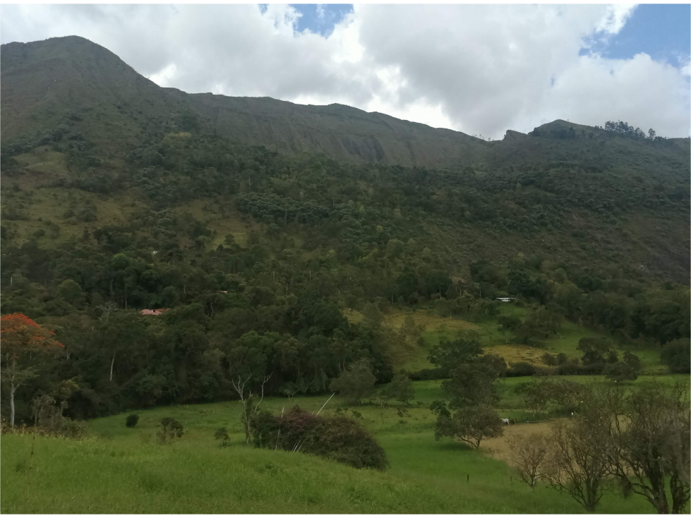 FINCA PARA PARCELAR CON VISTA ESPECTACULAR - 6