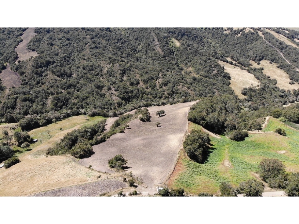 SE VENDE FINCA DE PRODUCCIÓN EN PARAMO ALTO COGUA - 6