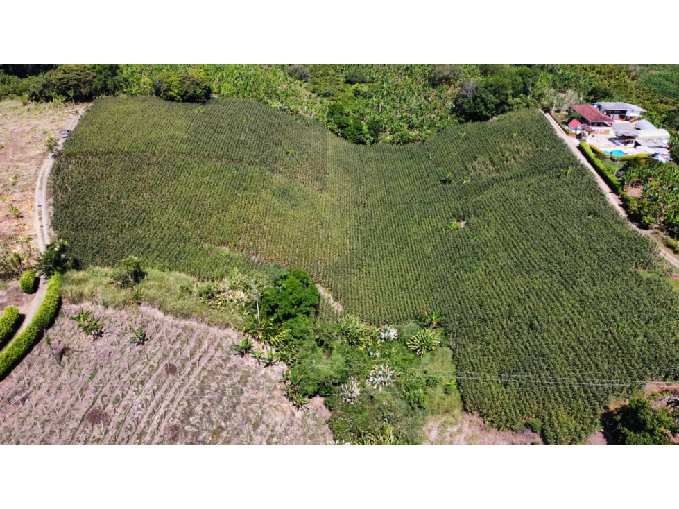 VENTA DE FINCA EN MONTENEGRO QUINDIO — foto 5