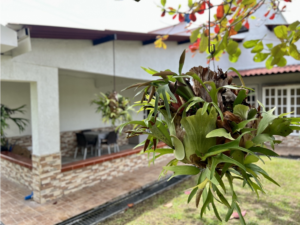 VENTA CASA CAMPESTRE VIA AL AEROPUERTO CON 3 VIVIENDAS