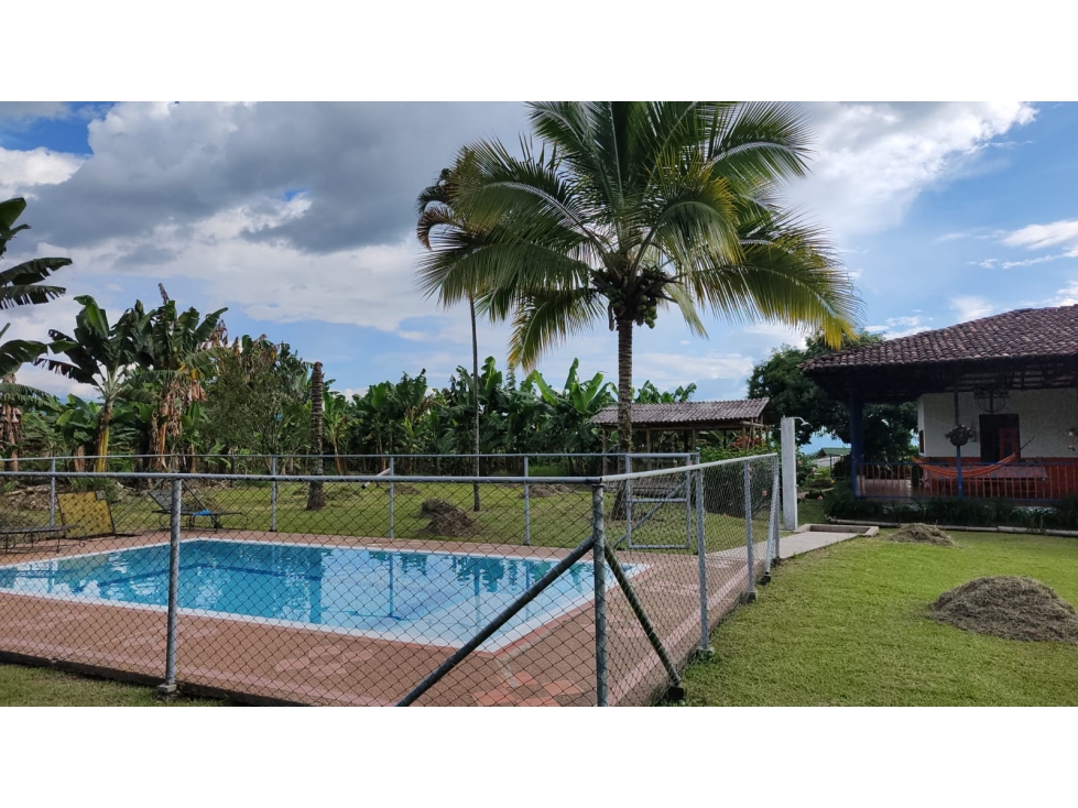VENTA FINCA 15600 M2 ENTRE ARMENIA Y CALARCA — foto 4