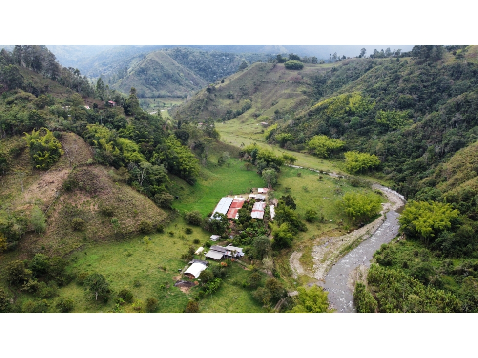 HERMOSA FINCA SALENTO. - 1