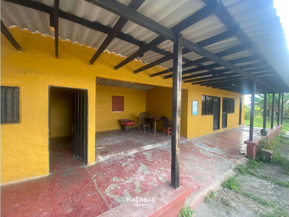 VENTA FINCA 17 CUADRAS ENTRE FILANDIA Y QUIMBAYA - 5