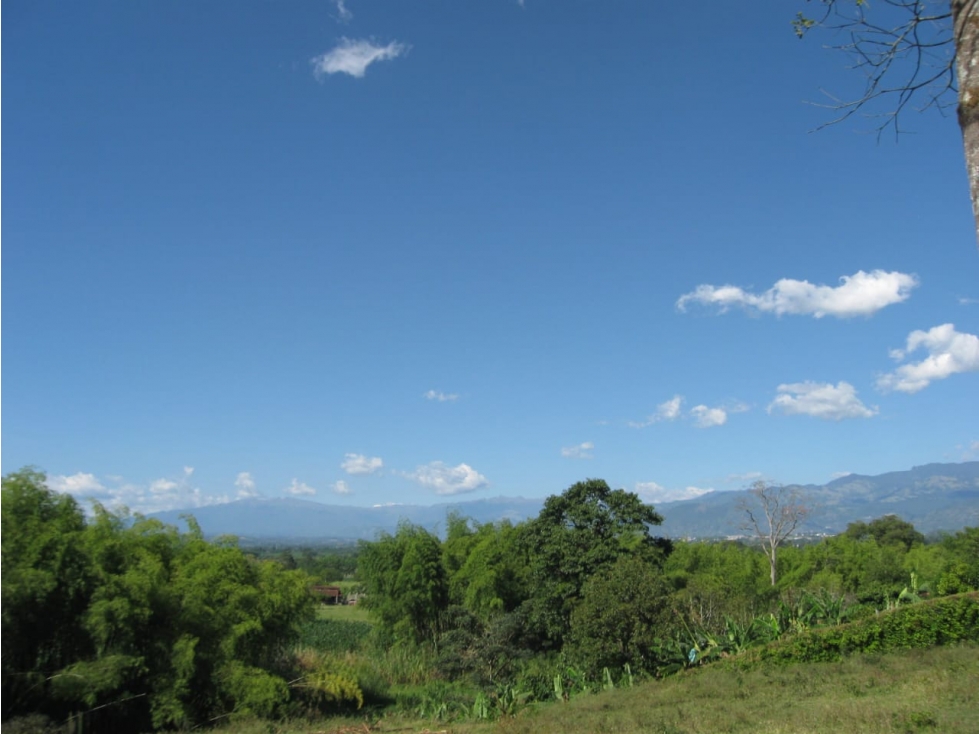 FINCA 5 CUADRAS VEREDA MURILLO. 10 MINUTOS ARMENIA. $1'800.000.000 — foto 4