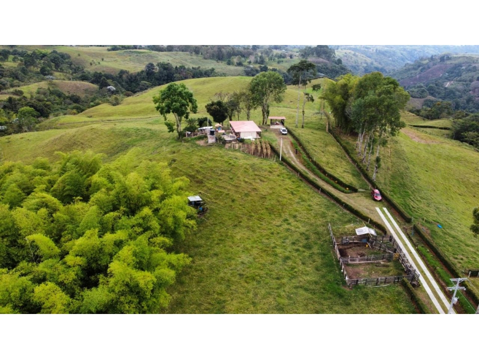 ESPECTACULAR TERRENO 40.000 M2 BOSQUE NATIVO Y RIO - 1