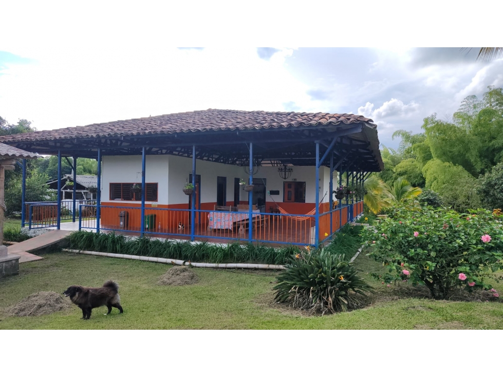 VENTA FINCA 15600 M2 ENTRE ARMENIA Y CALARCA — foto 6