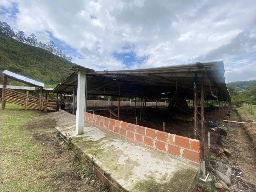 HERMOSA FINCA SALENTO. - 5