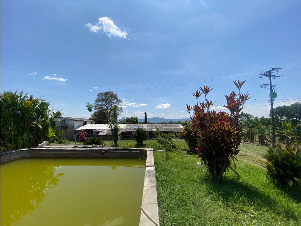 VENTA DE FINCA EN MONTENEGRO QUINDIO