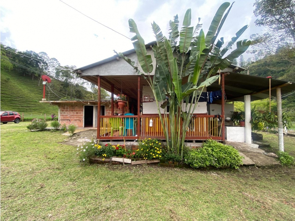 HERMOSA FINCA SALENTO. - 2