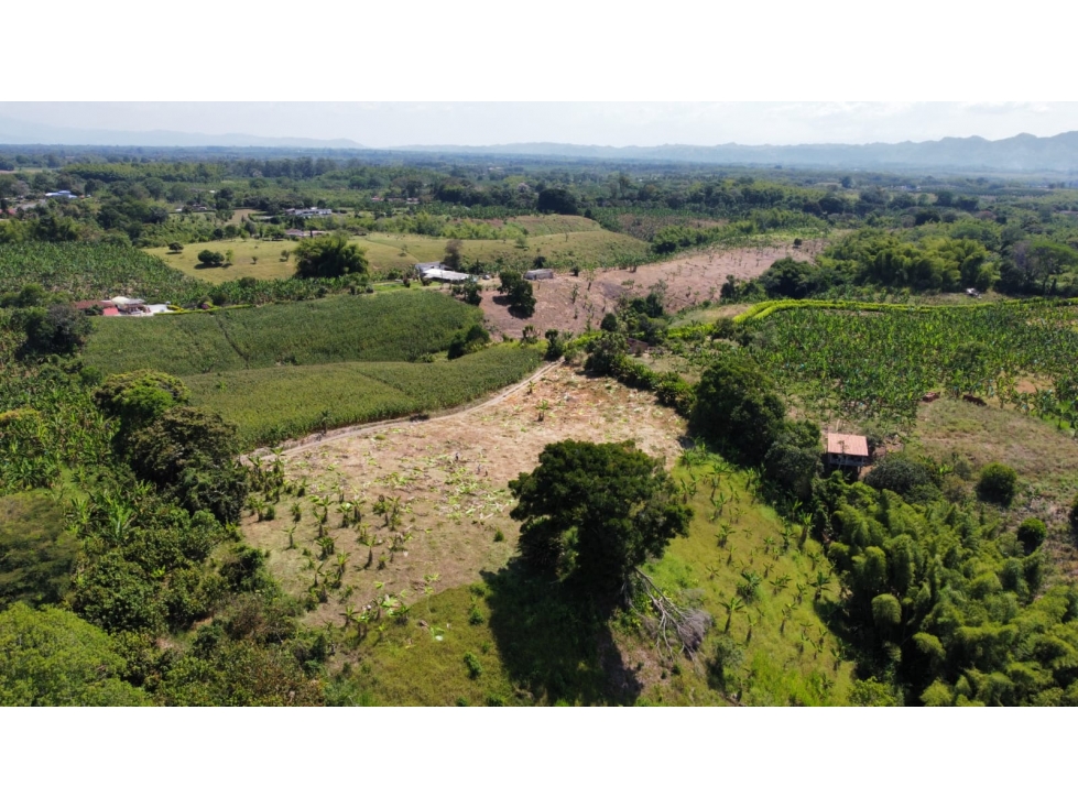 VENTA DE FINCA EN MONTENEGRO QUINDIO — foto 6