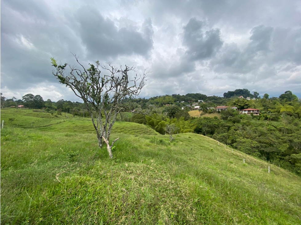 VENTA LOTE 15 MINUTOS CIRCASIA 5000M2 - 2