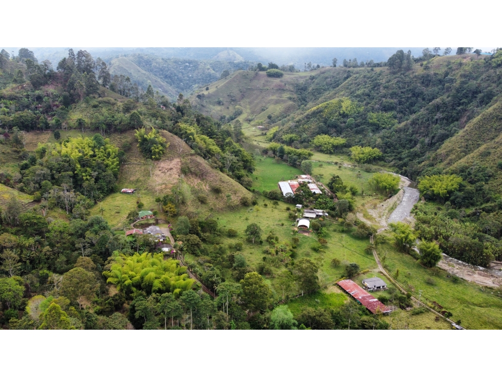 HERMOSA FINCA SALENTO. - 3