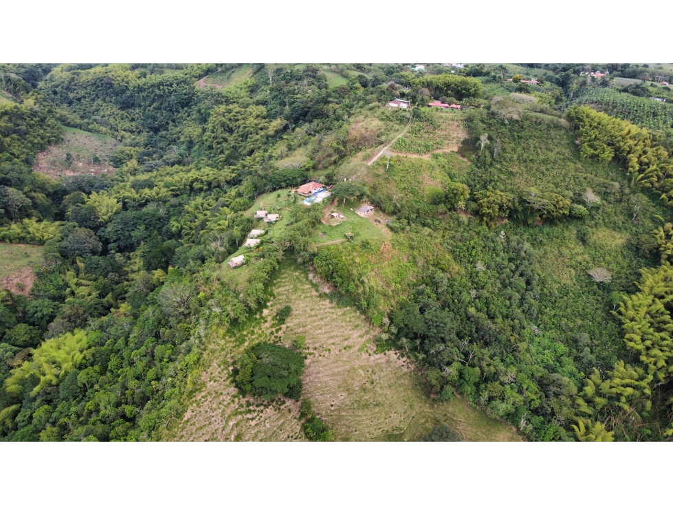 VENTA DE HOTEL-GLAMPING EN QUIMBAYA QUINDIO - 6