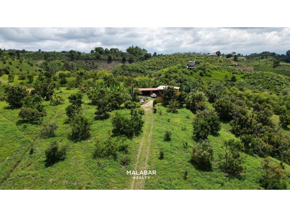 VENTA FINCA 17 CUADRAS ENTRE FILANDIA Y QUIMBAYA - 3