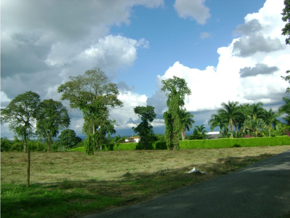 FINCA 5 CUADRAS VEREDA MURILLO. 10 MINUTOS ARMENIA. $1'800.000.000 — foto 5